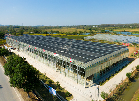 仙龍鎮雙星村智能育秧工廠(chǎng)