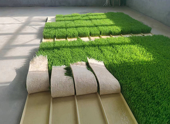 達拉特旗王愛(ài)召鎮田家圪旦社遷建安置區項目