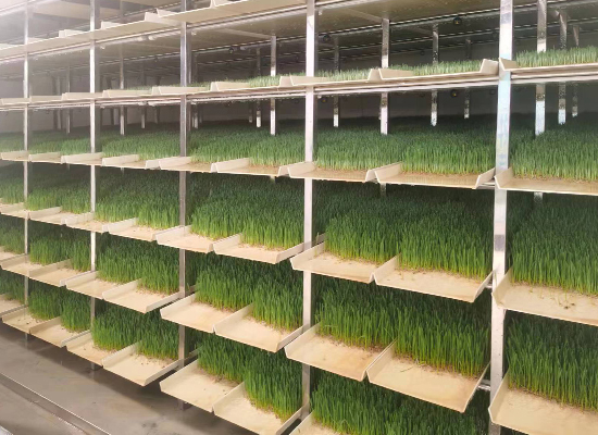 山西文水潤農  農牧業(yè)現代化設施