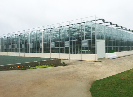 潢川縣優(yōu)質(zhì)糯稻現代農業(yè)產(chǎn)業(yè)園EPC項目