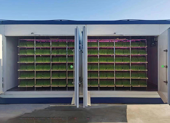 吉林春光集團牧草工廠(chǎng)