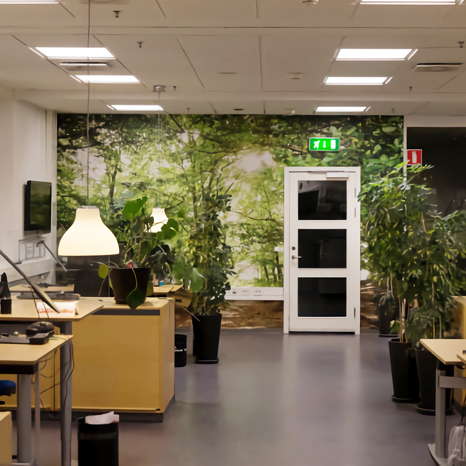 升級改造后現狀