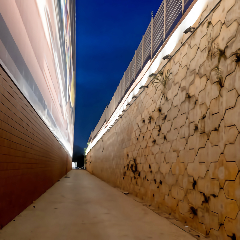 挑戰：亮藝術(shù)品