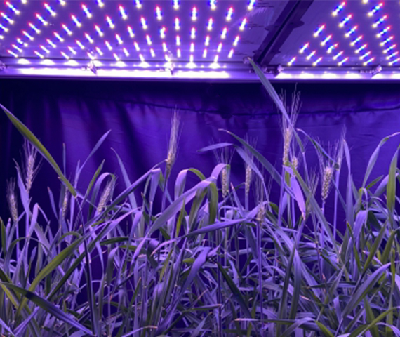 創(chuàng  )新應用